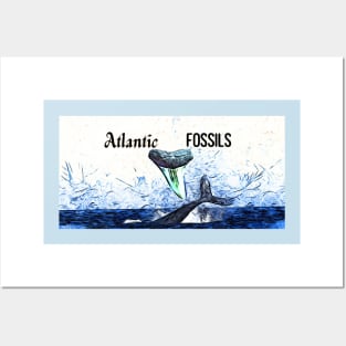 Whale and Atlantic Fossils Shark Tooth Posters and Art